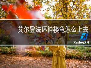 艾尔登法环钟楼龟怎么上去