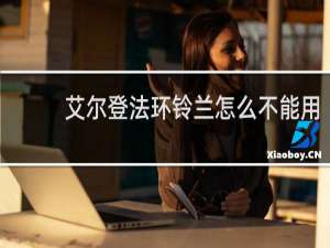 艾尔登法环铃兰怎么不能用