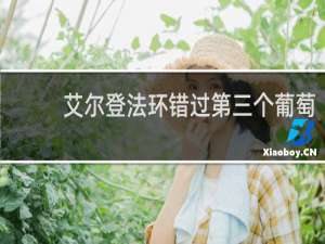 艾尔登法环错过第三个葡萄