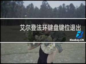 艾尔登法环键盘键位退出