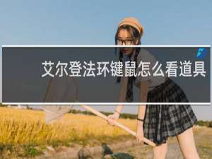 艾尔登法环键鼠怎么看道具