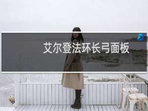 艾尔登法环长弓面板