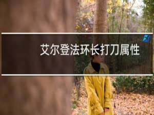 艾尔登法环长打刀属性