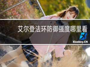 艾尔登法环防御强度哪里看