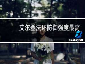 艾尔登法环防御强度最高