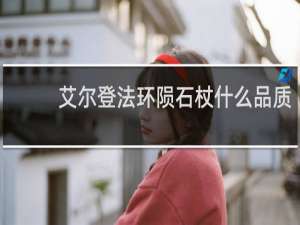 艾尔登法环陨石杖什么品质