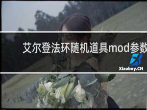 艾尔登法环随机道具mod参数