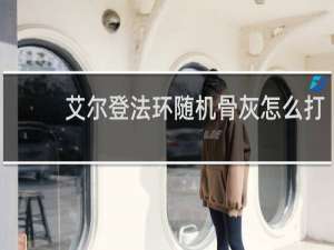 艾尔登法环随机骨灰怎么打