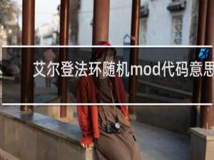 艾尔登法环随机mod代码意思