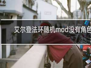 艾尔登法环随机mod没有角色