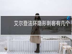 艾尔登法环隐形刺客有几个