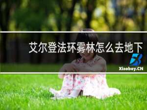 艾尔登法环雾林怎么去地下