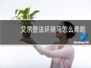 艾尔登法环骑马怎么奔跑