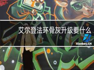 艾尔登法环骨灰升级要什么