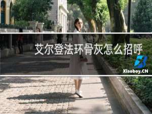 艾尔登法环骨灰怎么招呼