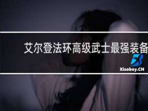 艾尔登法环高级武士最强装备
