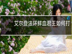 艾尔登法环鲜血君王如何打