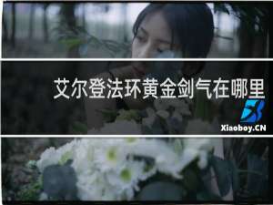 艾尔登法环黄金剑气在哪里