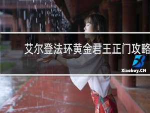艾尔登法环黄金君王正门攻略