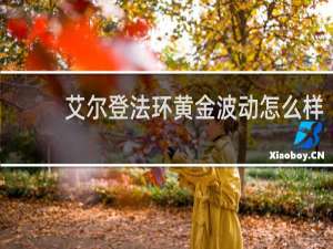 艾尔登法环黄金波动怎么样