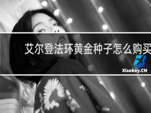 艾尔登法环黄金种子怎么购买