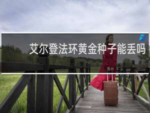 艾尔登法环黄金种子能丢吗