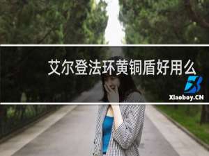 艾尔登法环黄铜盾好用么