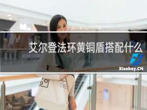 艾尔登法环黄铜盾搭配什么