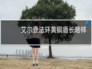 艾尔登法环黄铜盾长啥样