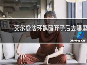 艾尔登法环黑暗弃子后去哪里