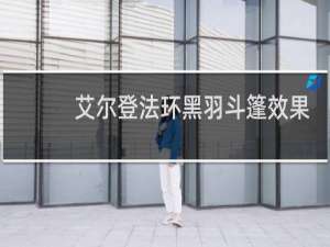 艾尔登法环黑羽斗篷效果