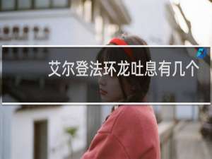 艾尔登法环龙吐息有几个