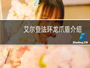 艾尔登法环龙爪盾介绍