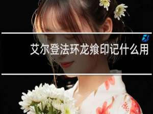 艾尔登法环龙飨印记什么用