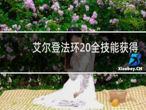 艾尔登法环 全技能获得