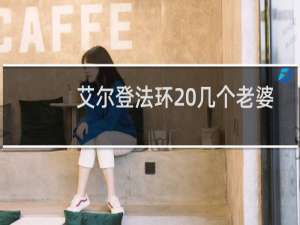 艾尔登法环 几个老婆