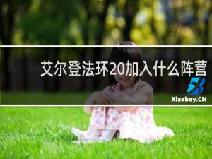 艾尔登法环 加入什么阵营