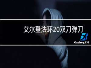 艾尔登法环 双刀弹刀