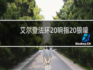 艾尔登法环 响指 狼嚎