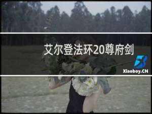 艾尔登法环 尊府剑