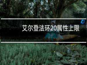 艾尔登法环 属性上限