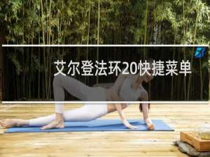 艾尔登法环 快捷菜单