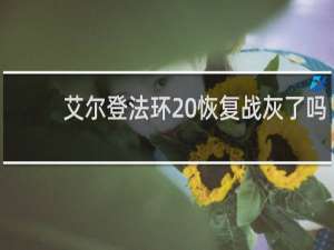 艾尔登法环 恢复战灰了吗