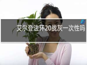 艾尔登法环 战灰一次性吗