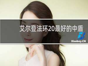 艾尔登法环 最好的中盾