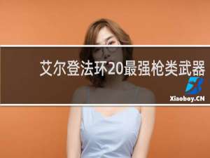 艾尔登法环 最强枪类武器