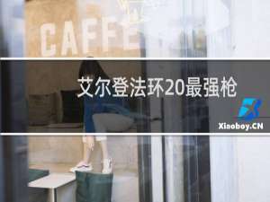 艾尔登法环 最强枪