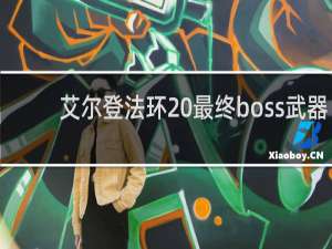 艾尔登法环 最终boss武器