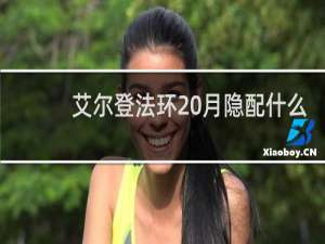 艾尔登法环 月隐配什么