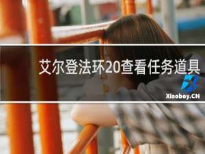 艾尔登法环 查看任务道具